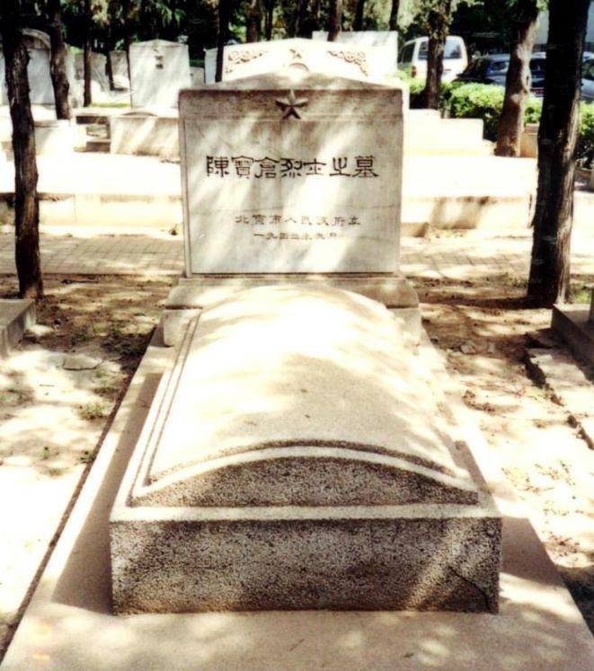 死领出腐烂遗体女儿好友潜水偷渡运回骨灰冰球突破豪华版手机版陈宝仓牺牲后友人冒(图13)